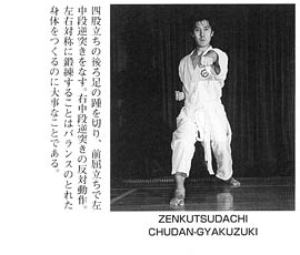Каратэ Дзесинмон. Тэйчитанрен.