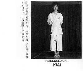 Каратэ Дзесинмон. Тэйчитанрен.