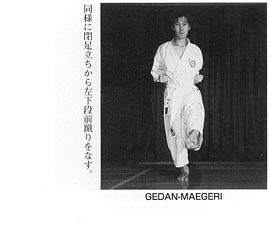 Каратэ Дзесинмон. Тэйчитанрен.