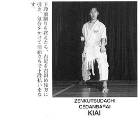 Каратэ Дзесинмон. Тэйчитанрен.