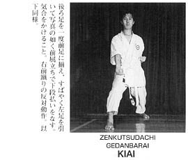 Каратэ Дзесинмон. Тэйчитанрен.