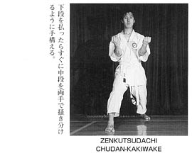 Каратэ Дзесинмон. Тэйчитанрен.