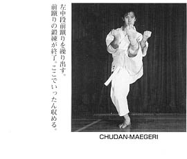 Каратэ Дзесинмон. Тэйчитанрен.