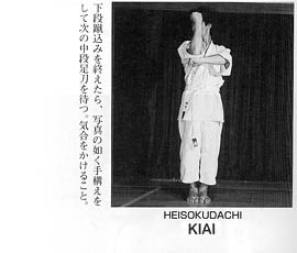 Каратэ Дзесинмон. Тэйчитанрен.