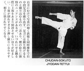 Каратэ Дзесинмон. Тэйчитанрен.