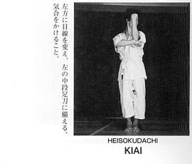 Каратэ Дзесинмон. Тэйчитанрен.