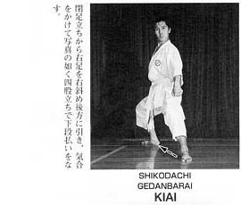 Каратэ Дзесинмон. Тэйчитанрен.