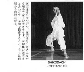 Каратэ Дзесинмон. Тэйчитанрен.