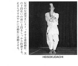 Каратэ Дзесинмон. Тэйчитанрен.