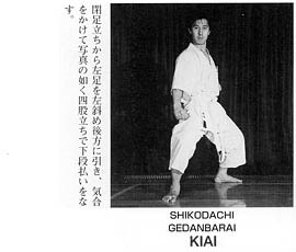 Каратэ Дзесинмон. Тэйчитанрен.